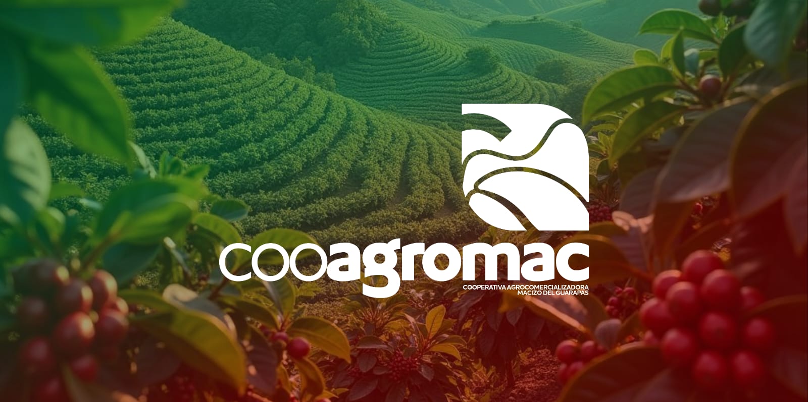 Finca cafetera Cooagromac, Macizo del Guarapas